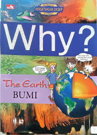 Image of Bumi - Why