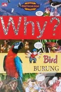 Image of Burung - Why ?